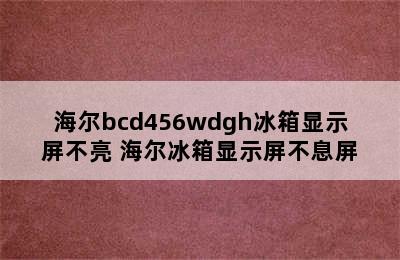 海尔bcd456wdgh冰箱显示屏不亮 海尔冰箱显示屏不息屏